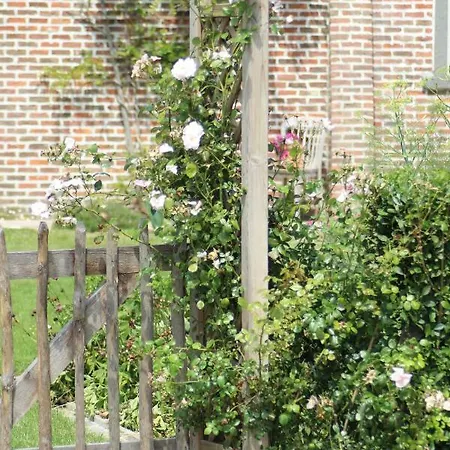 't Ligt Ter Velde, Oase Rust, Sauna, Directie Brugge *